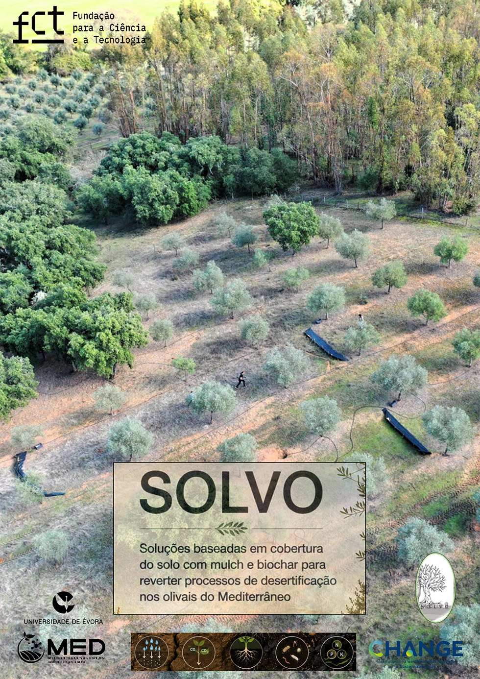 SOLVO - Livro